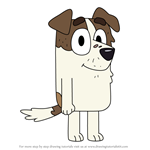 How to Draw Jack's Dad from Bluey