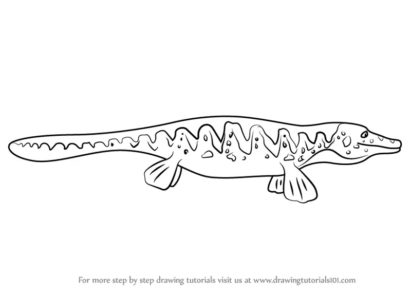 Download Learn How to Draw Marvin Mosasaurus from Dinosaur Train (Dinosaur Train) Step by Step : Drawing ...