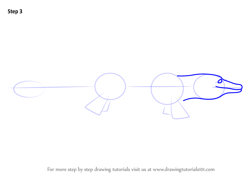 Learn How To Draw Marvin Mosasaurus From Dinosaur Train Dinosaur Train Step By Step Drawing Tutorials