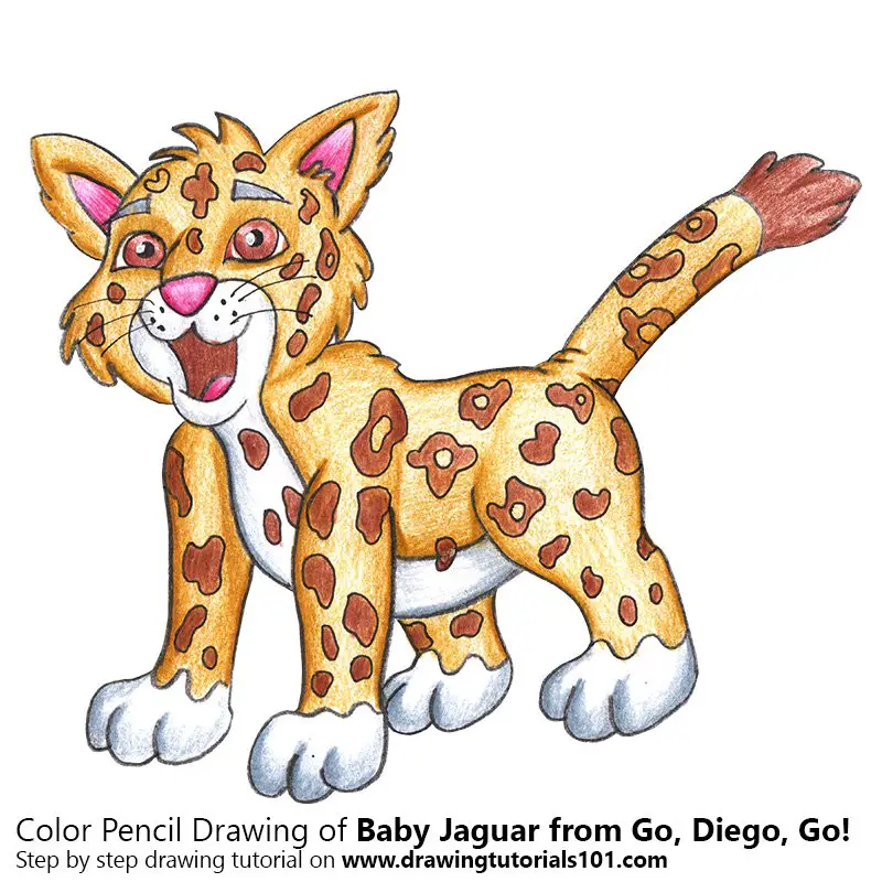 Baby Jaguar from Go, Diego, Go! Color Pencil Drawing
