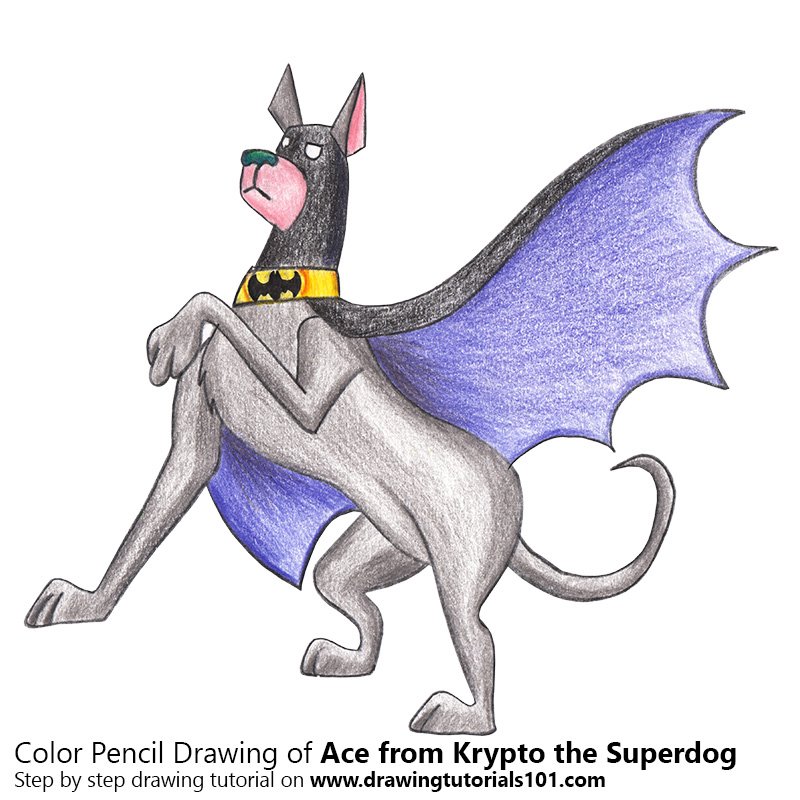 How to Draw Ace from Krypto the Superdog by Color Pencils