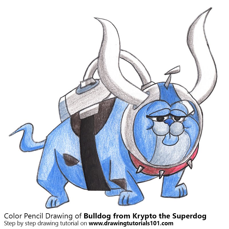 How to Draw Bulldog from Krypto the Superdog by Color Pencils