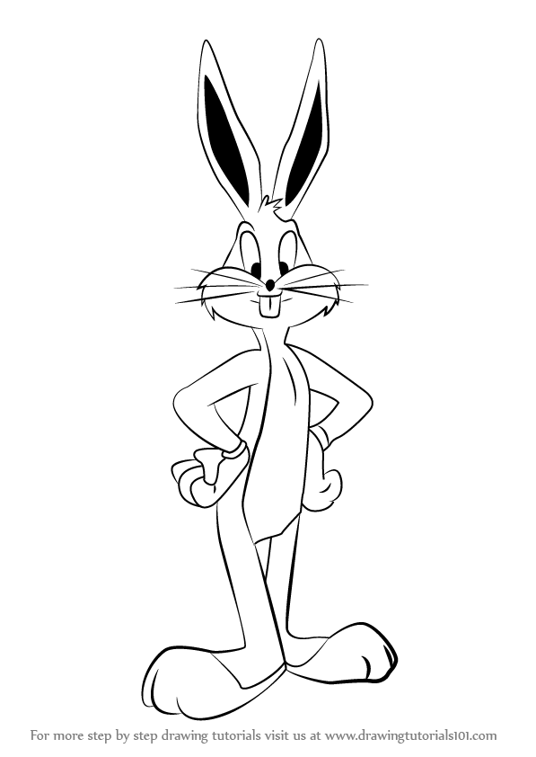 Bugs Bunny Drawing Step By Step