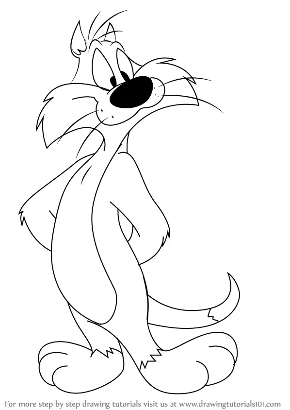 Learn How to Draw Sylvester from Looney Tunes (Looney Tunes) Step by