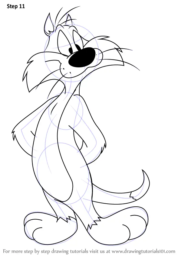 Step by Step How to Draw Sylvester from Looney Tunes