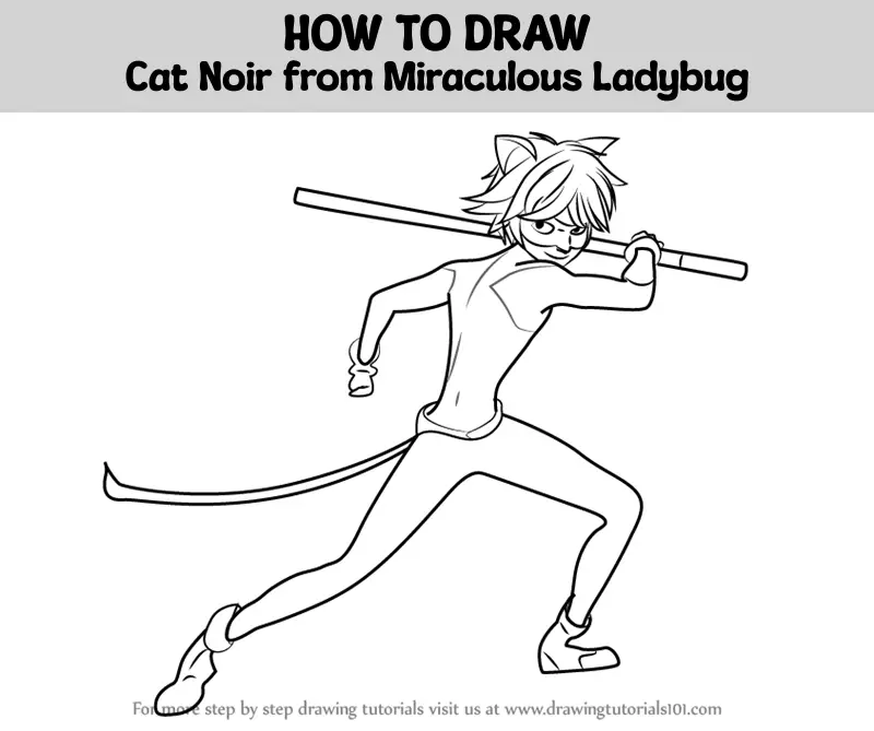 HOW TO DRAW CAT NOIR  How to Draw Ladybug Step by Step Miraculous The  Adventures of Ladybug 