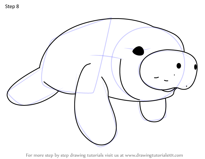 How to Draw Manatees from Octonauts (Octonauts) Step by Step