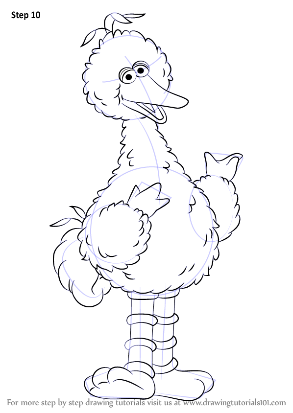 Learn How to Draw Big Bird from Sesame Street (Sesame Street) Step by