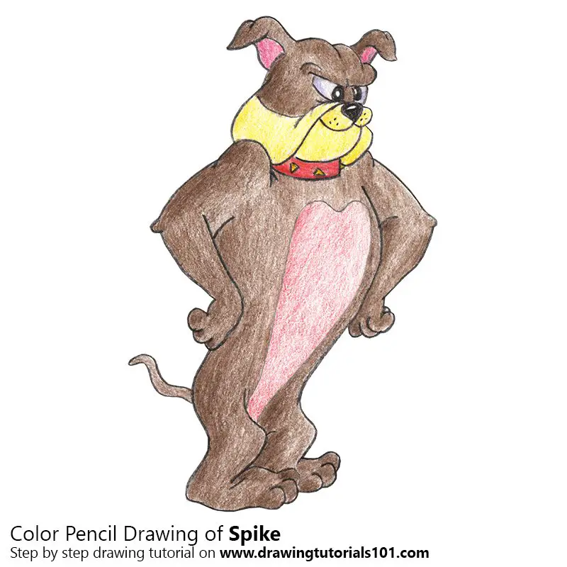 Spike from Tom and Jerry Color Pencil Drawing