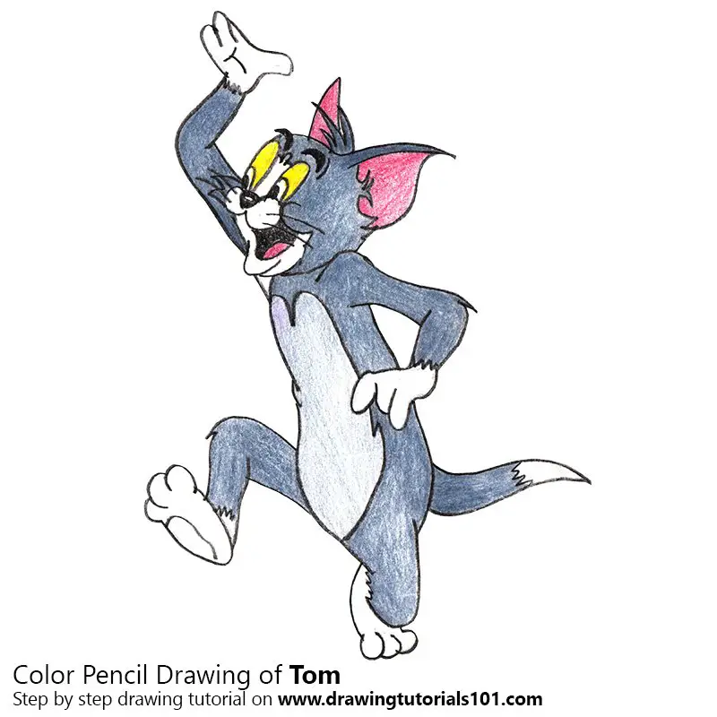 Tom From Tom And Jerry Colored Pencils Drawing Tom From Tom And