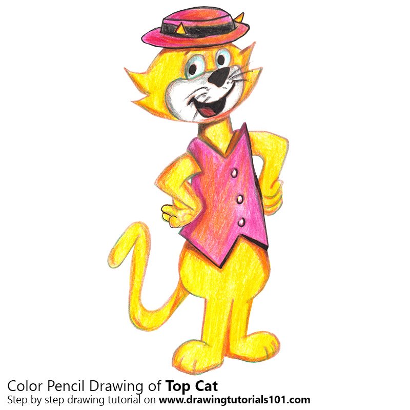 How to Draw Top Cat by Color Pencils