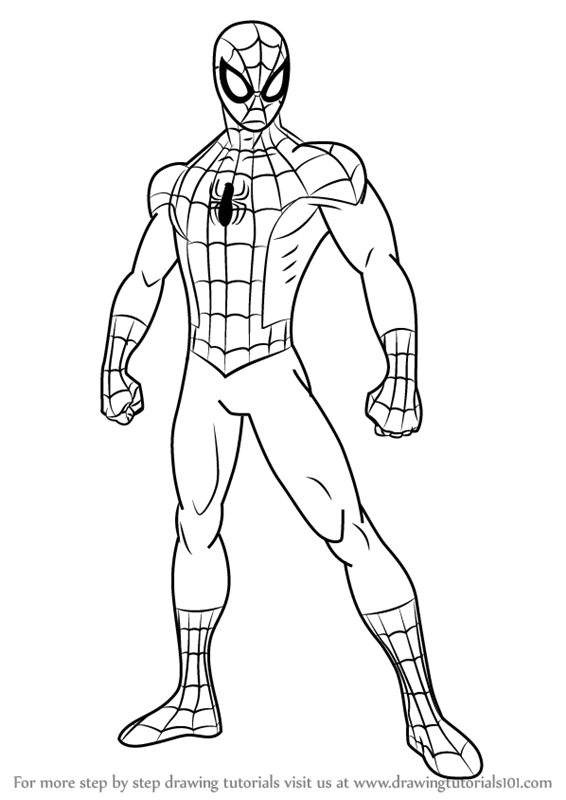 How to Draw SpiderMans Head