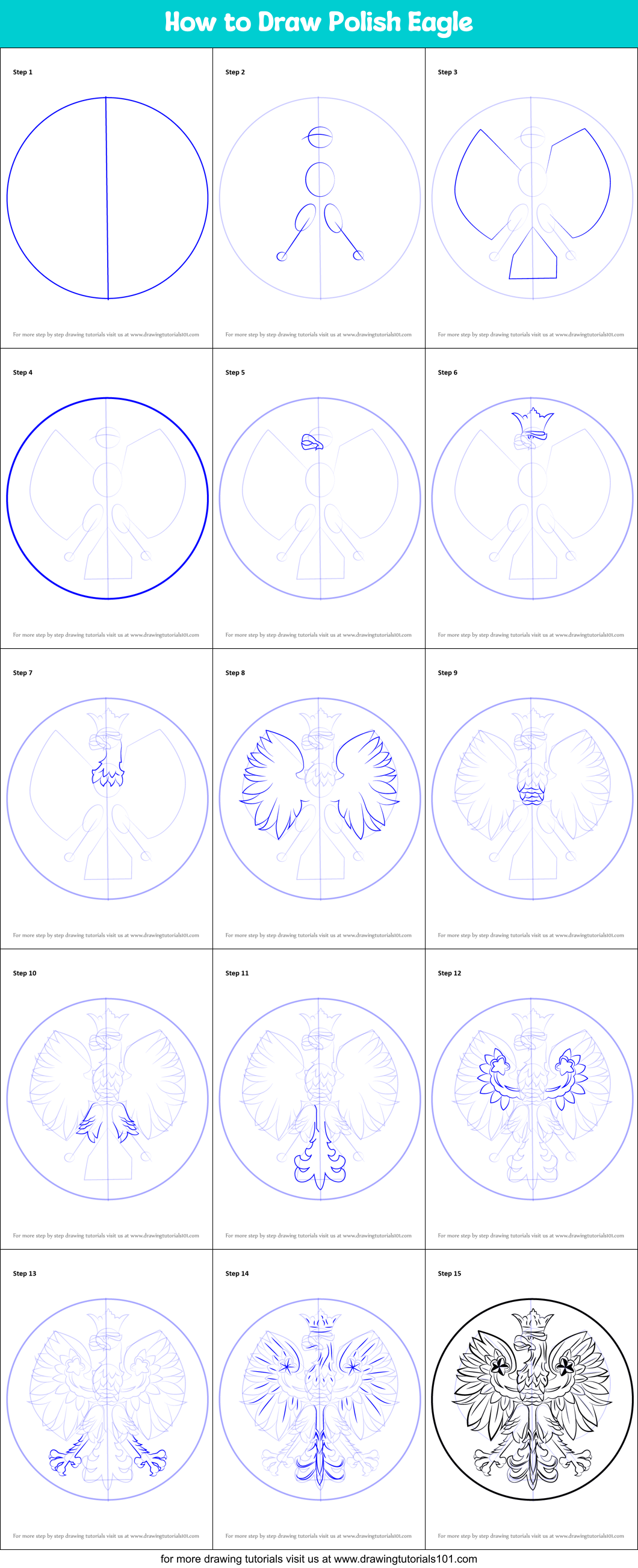 How to Draw Polish Eagle Printable Step by Step