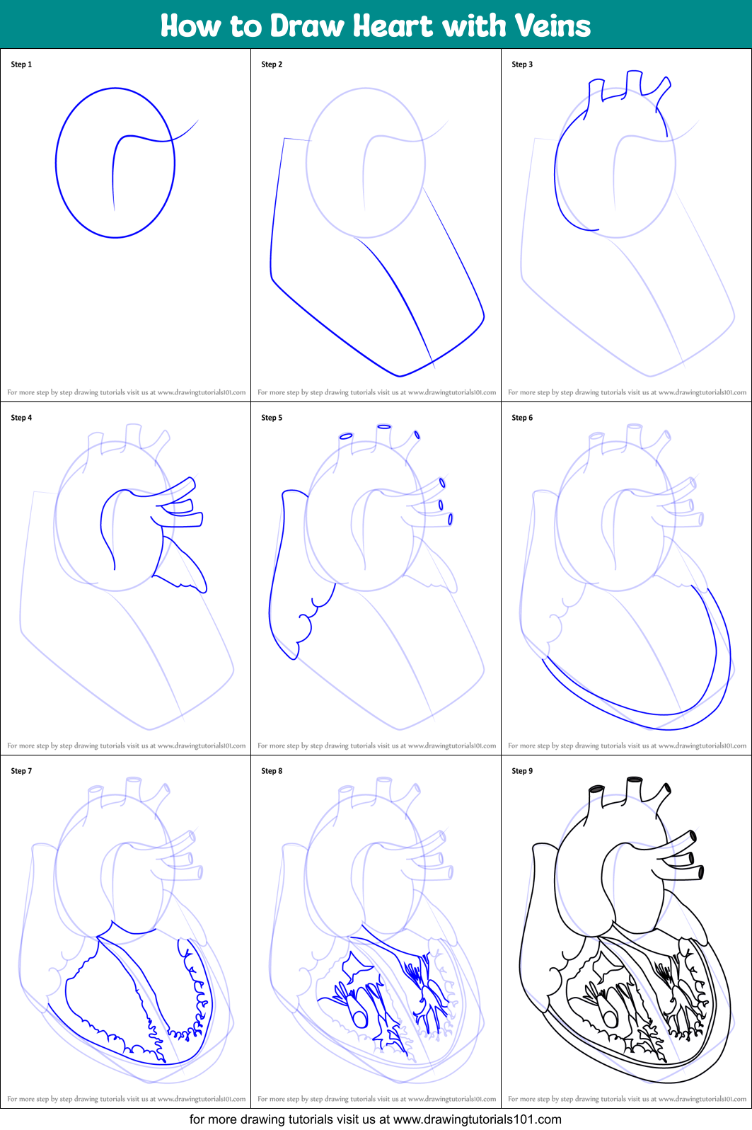 How to Draw Heart with Veins Printable Step by Step
