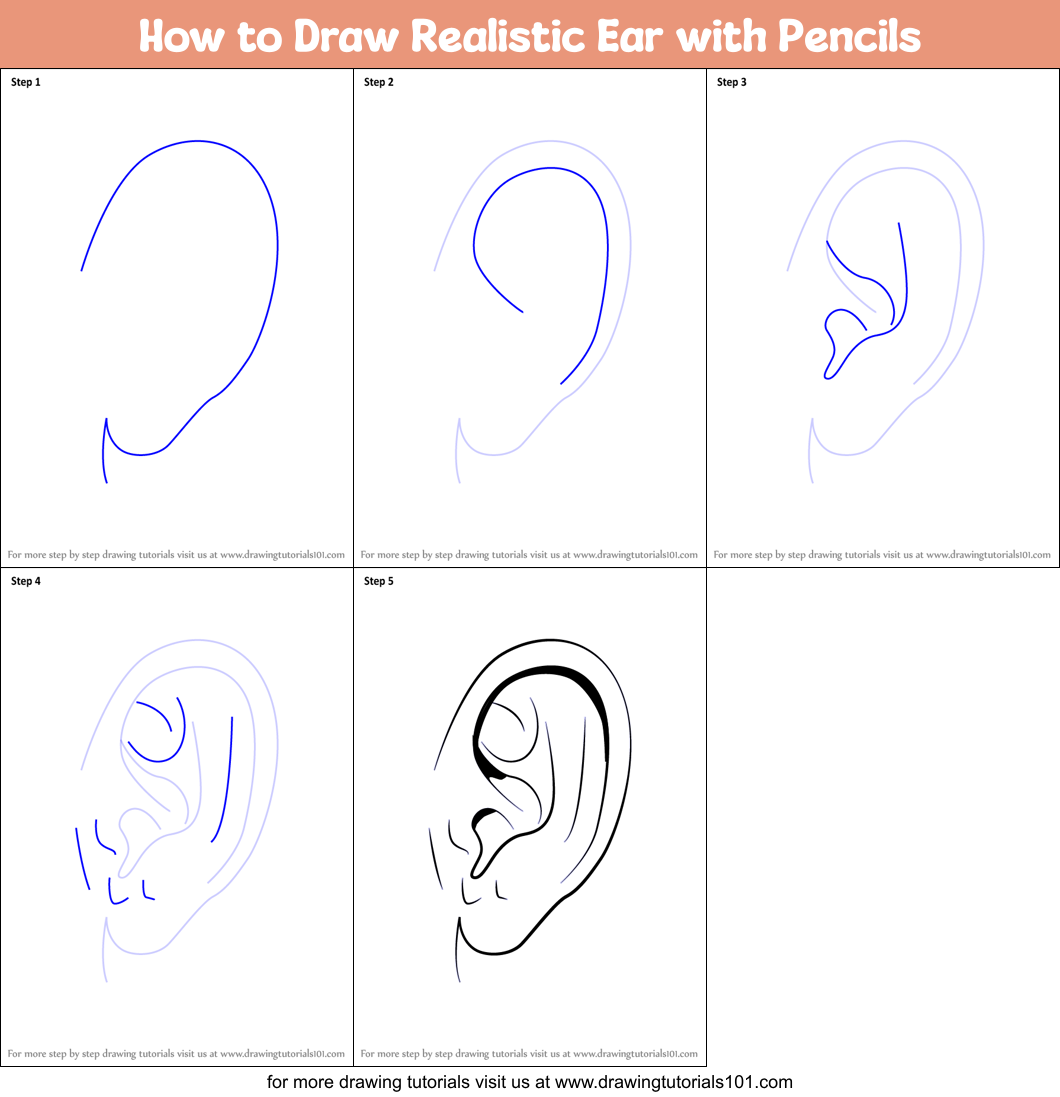 How To Draw Realistic Ears