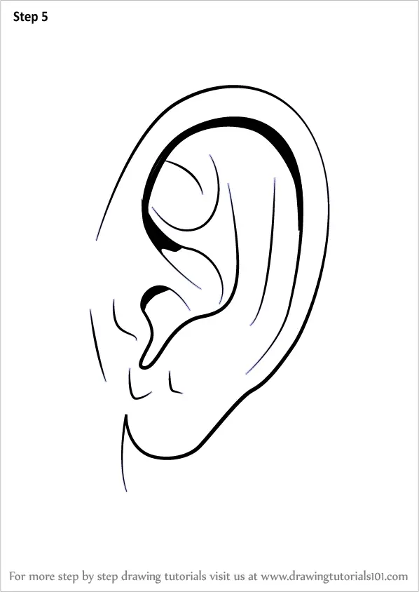 Ear drawing step by step  Anime drawings Drawing expressions Drawings