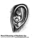 How to Draw Realistic Ear with Pencils