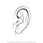How to Draw Realistic Ear with Pencils