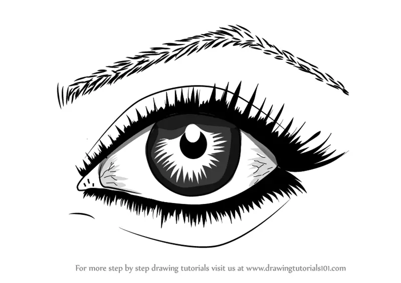 20 Easy Eye Drawing Ideas-sonthuy.vn