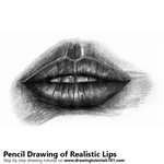 How to Draw Realistic Lips with Pencils