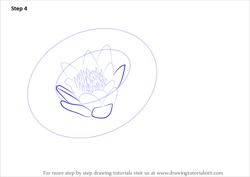 How To Draw A Lily Pad Step By Step