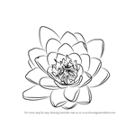 How to Draw Water Lily Flower