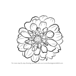 How to Draw Dahlia Flower