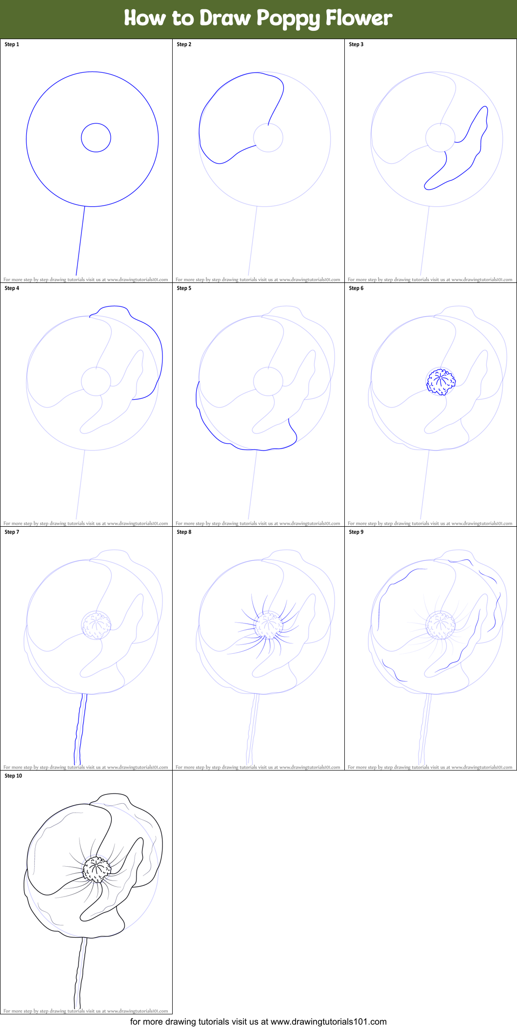 How to Draw Poppy Flower printable step by step drawing sheet