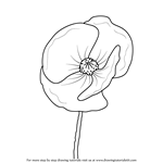 How to Draw Poppy Flower