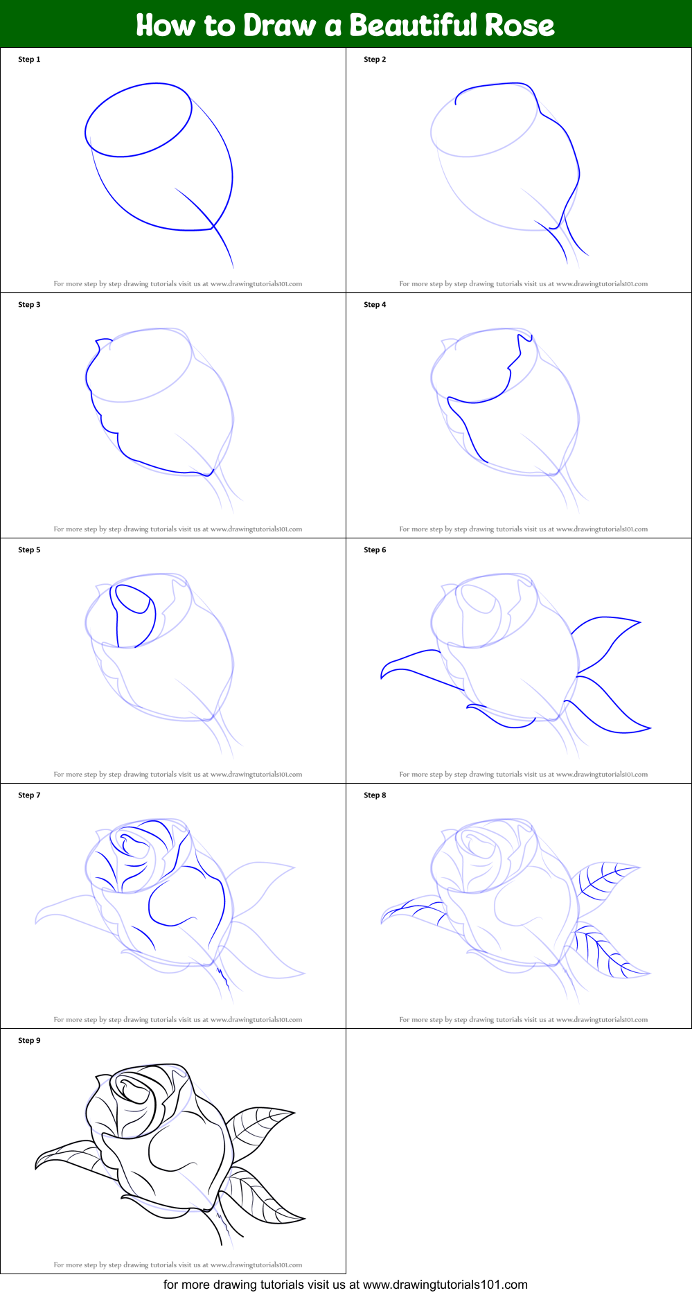 Cute Step By Step Sketch Rose Drawing 