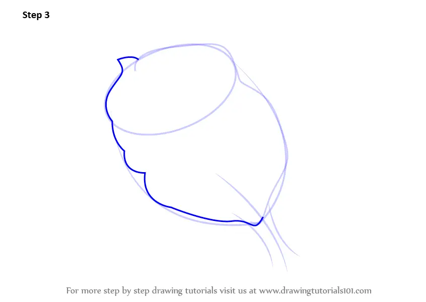 Learn How to Draw a Beautiful Rose (Rose) Step by Step : Drawing Tutorials