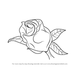 How to Draw a Beautiful Rose
