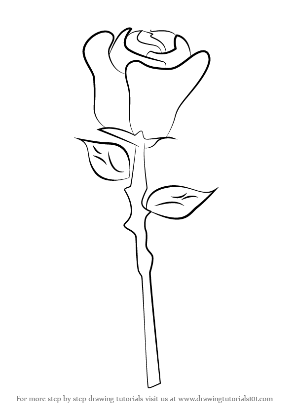 Easy, Step-by-step Rose Drawing for Kids - Really Easy Drawing Tutorial