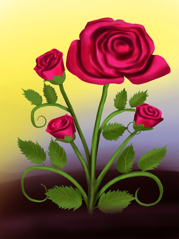 Learn How to Draw a Rose Plant (Rose) Step by Step : Drawing Tutorials