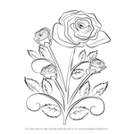 How to Draw a Rose Plant