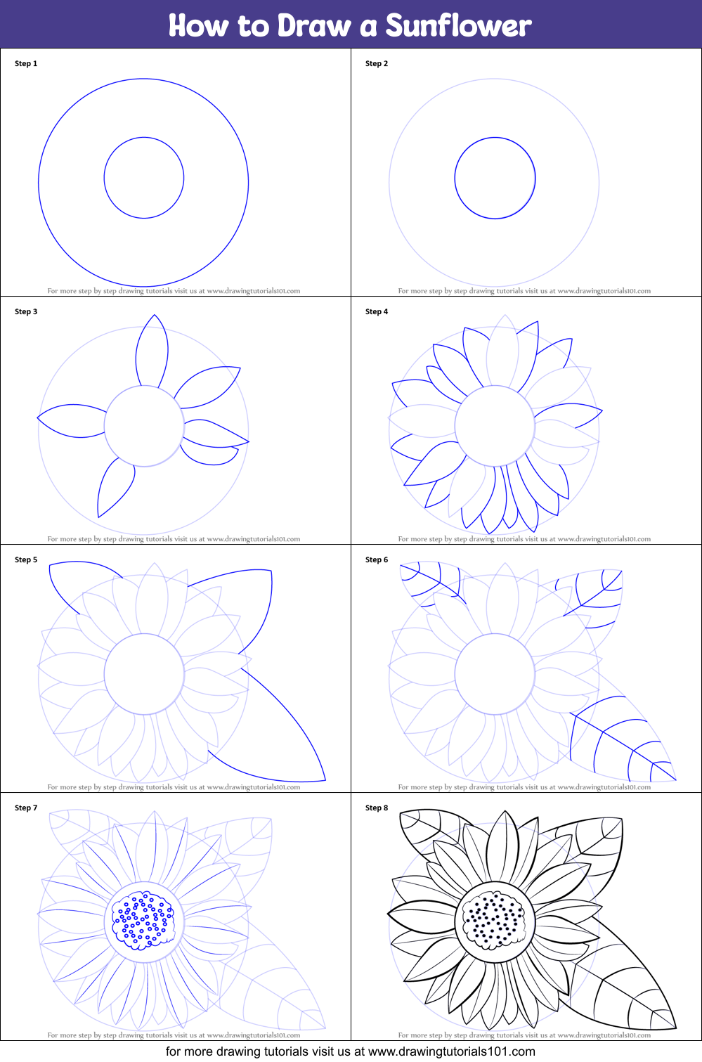 How to Draw a Sunflower printable step by step drawing