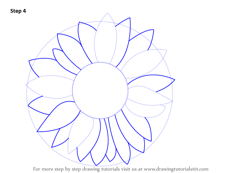 Step by Step How to Draw a Sunflower : DrawingTutorials101.com