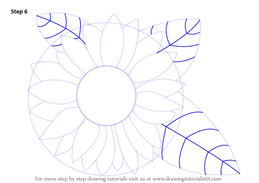 Learn How to Draw a Sunflower Sunflower Step by Step 