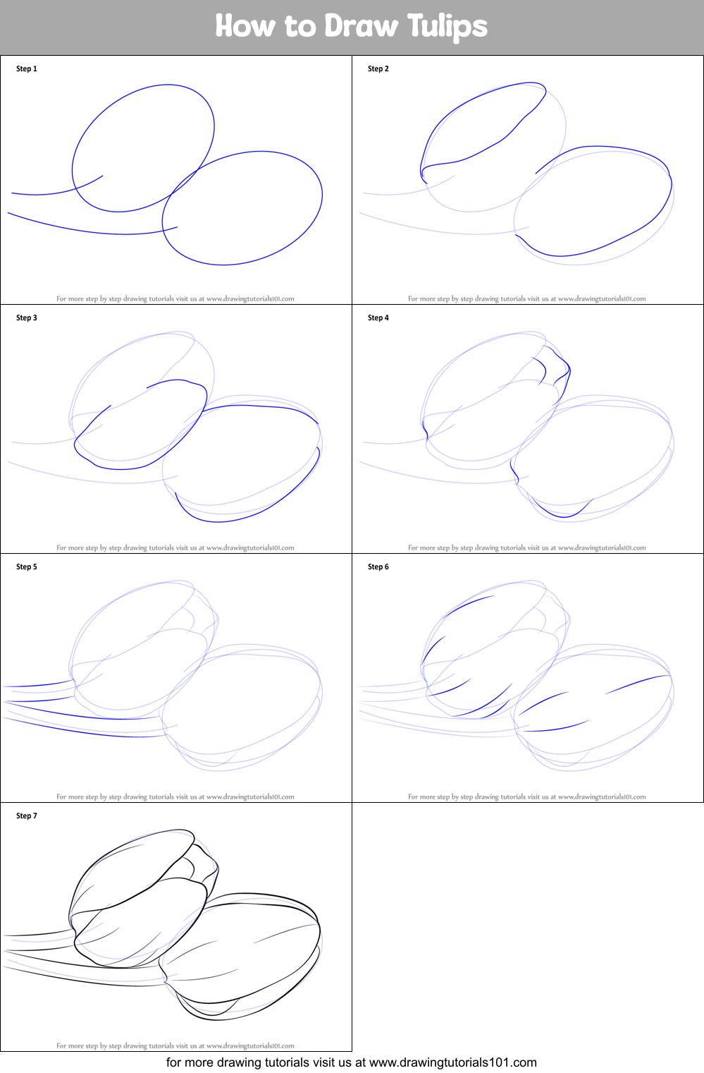 How to Draw Tulips Printable Step by Step