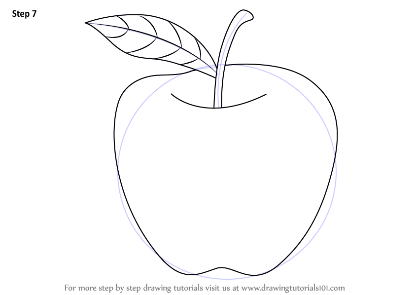 How to Draw An Apple for Kids  A Step By Step Guide With Pictures