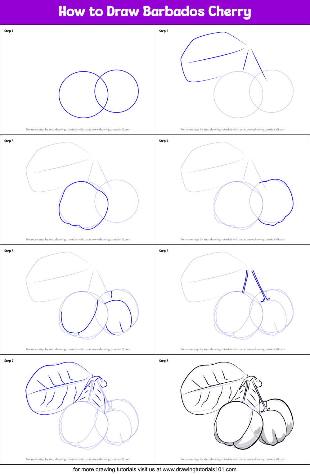 How to Draw Barbados Cherry Printable Step by Step