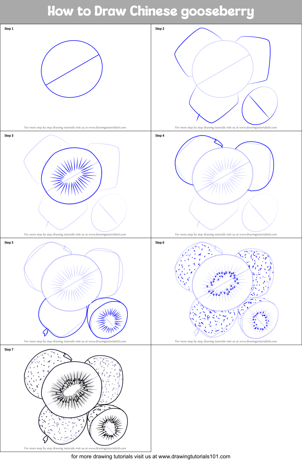 How to Draw Chinese gooseberry Printable Step by Step
