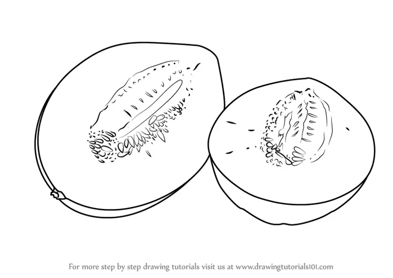 Featured image of post How To Draw A Melon Learn draw traditional digital