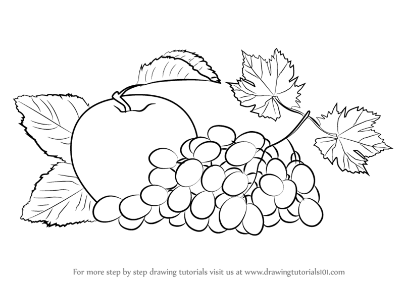 Cartoon Drawing Wine Grapes: Vector có sẵn (miễn phí bản quyền) 1454864156  | Shutterstock