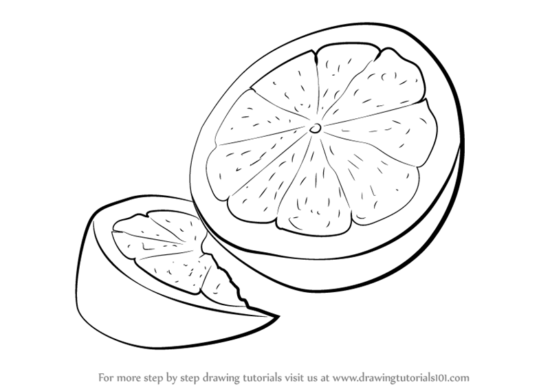 Unique Lemon Sketch Drawings For Kids for Beginner