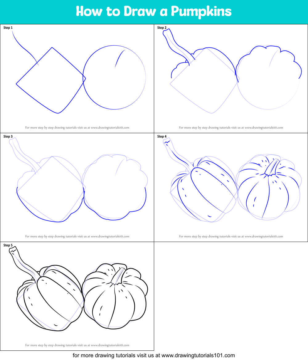 How to Draw a Pumpkins Printable Step by Step