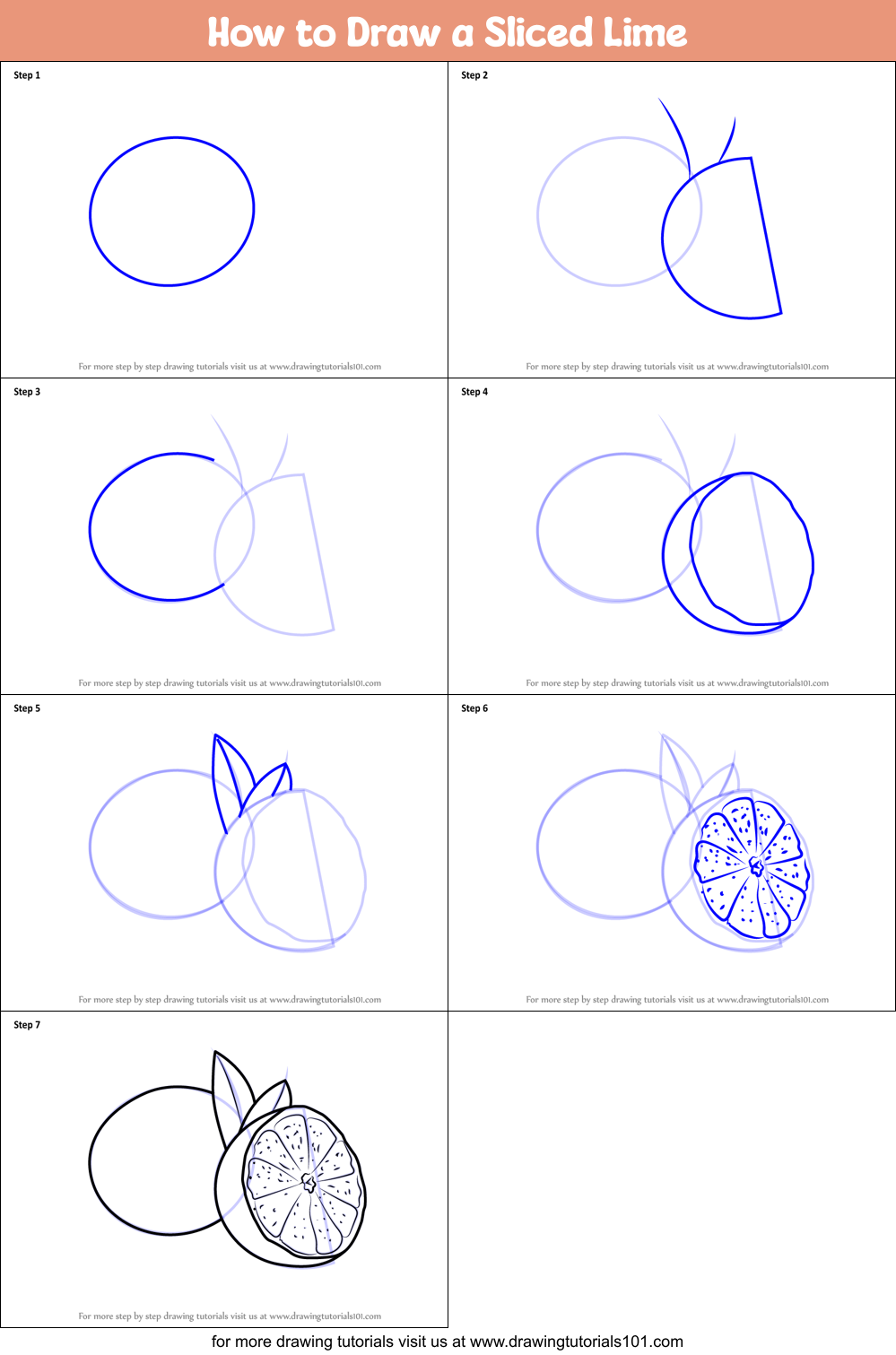 How to Draw a Sliced Lime Printable Step by Step
