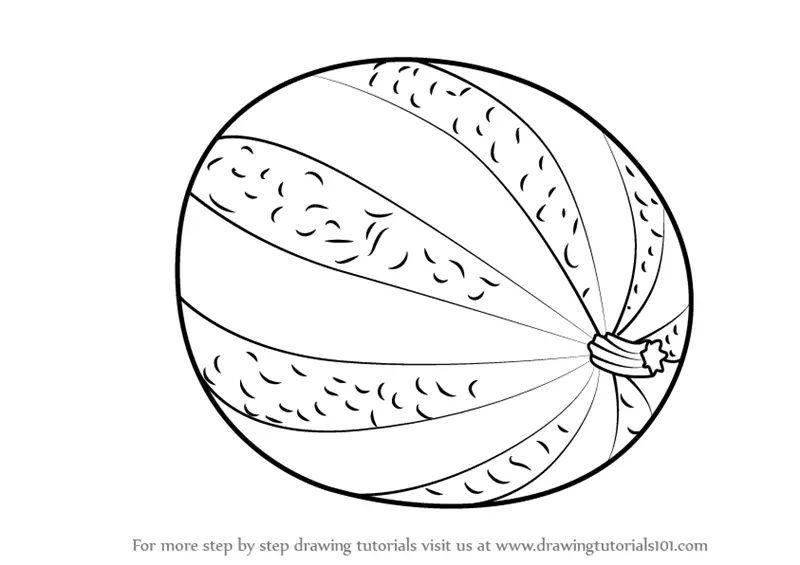 Watermelon Drawing PNG Transparent Images Free Download | Vector Files |  Pngtree