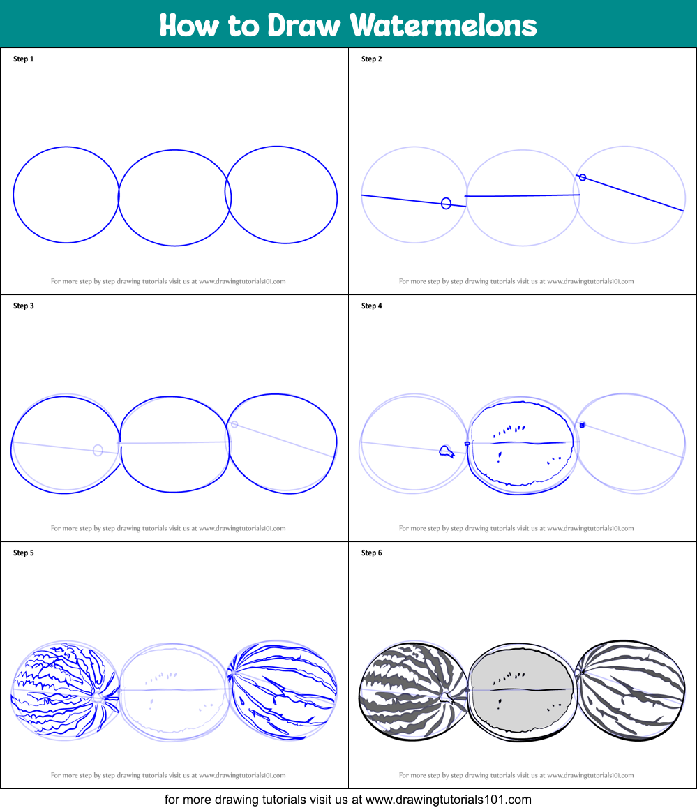 How to Draw Watermelons Printable Step by Step