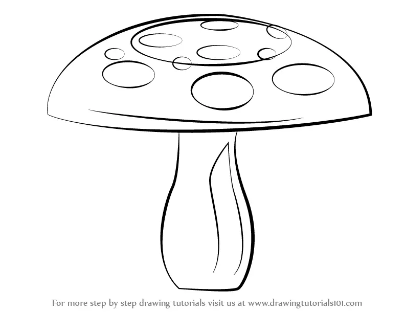 Learn How to Draw a Mushroom (Mushrooms) Step by Step : Drawing Tutorials